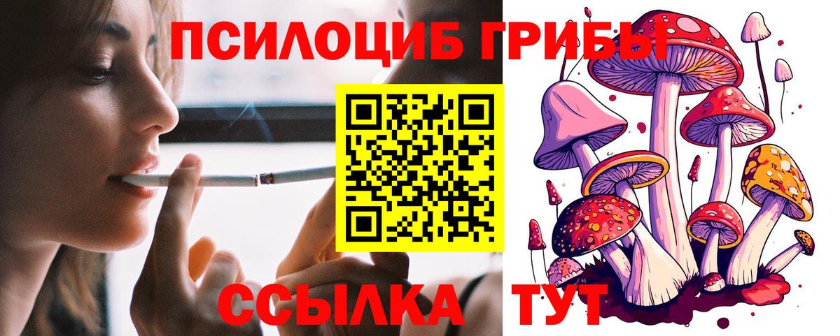 Норильск  Псилоцибиновые грибы Psilocybe  Вход с VPN 